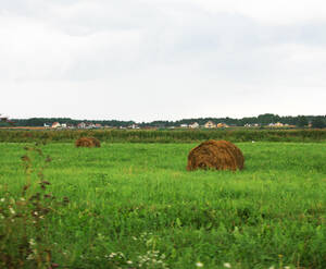 КП Яхт-клуб «Стрелка»