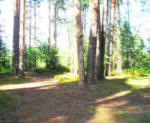 КП «Герцена»
