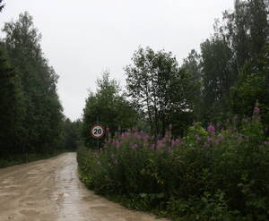 КП «Кристалл»