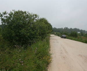 КП «Кристалл»