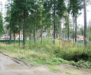 КП «Чехово»