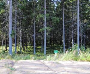 КП «Ленинское (Land Aspect)»