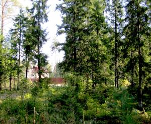 КП «Ленинское (Land Aspect)»