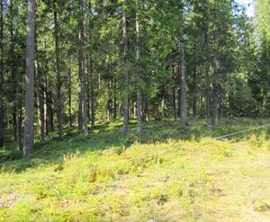 КП «Ленинское (Land Aspect)»