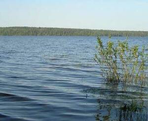 Honkaniemi (ДНП «Долина озер»)