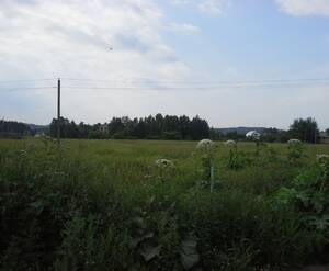 КП «Нева-2003»