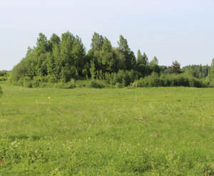 КП «Королек»