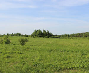 КП «Королек»