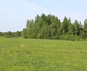 КП «Королек»