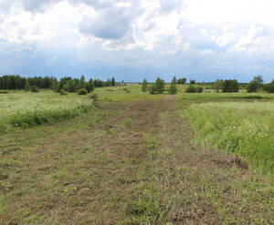КП «Королек»