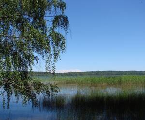 КП «Александровка»