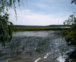 КП «Александровка»