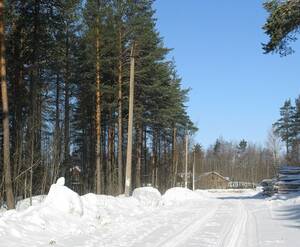 КП Сосны (Всеволожский)