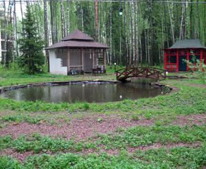 Клубный поселок «Vitro Village»