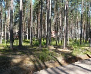 КП «Raivola House»: