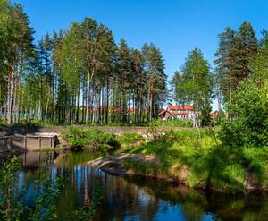 КП New Paradise