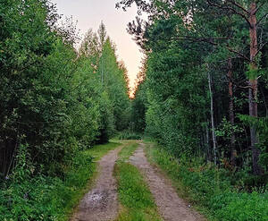 КП «Юрки»