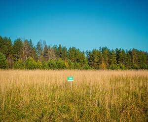 КП «Лоси»