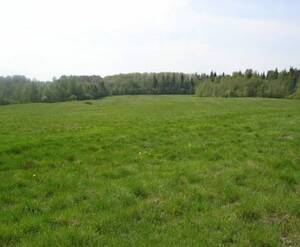 КП «Три Берега»