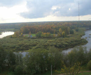 <p>Вид из окон&nbsp;</p>