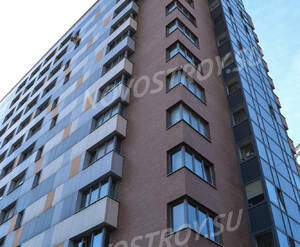  ЖК «Дом в сосновой роще» (09.03.2013 г.)