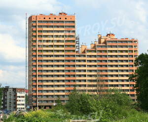 Дом в Тосно (15.05.2013)
