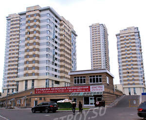 ЖК «Лосиный остров» (15.08.2013 г.)