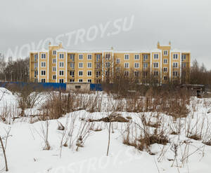 ЖК «Дом в поселке Горбунки»: общий вид на стройплощадку (01.02.15)