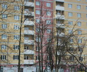 ЖК «Молодёжный» (г. Чехов): Построенный корпус, 31.01.2015 г.