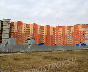 ЖК «Дом на улице Центральная усадьба»: 18.04.2015 - Общий вид новостройки со стороны поселка