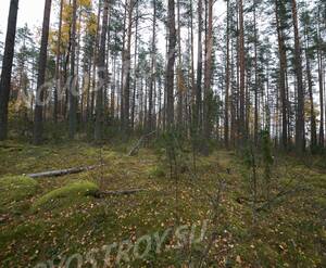КП Karelia Holiday Park (Октябрь 2018)