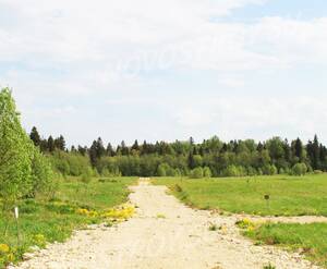 КП «Лисички»