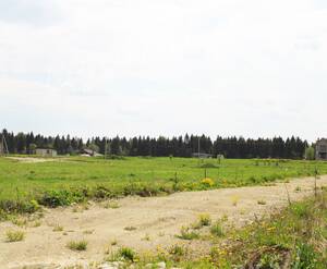 КП «Лисички»