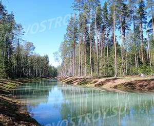 КП Forest Village: ход строительства