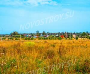 КП «Аисты»