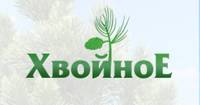 Хвойное ДНТ