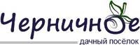 Черничное ДНТ