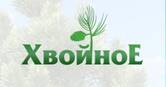 Хвойное ДНТ