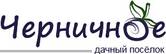 Черничное ДНТ