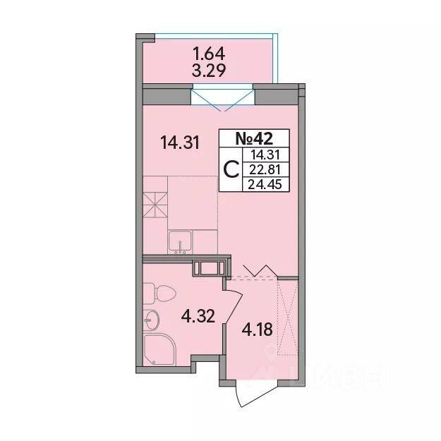 Квартира-студия, 24,45 м², в ЖК Рождественский квартал