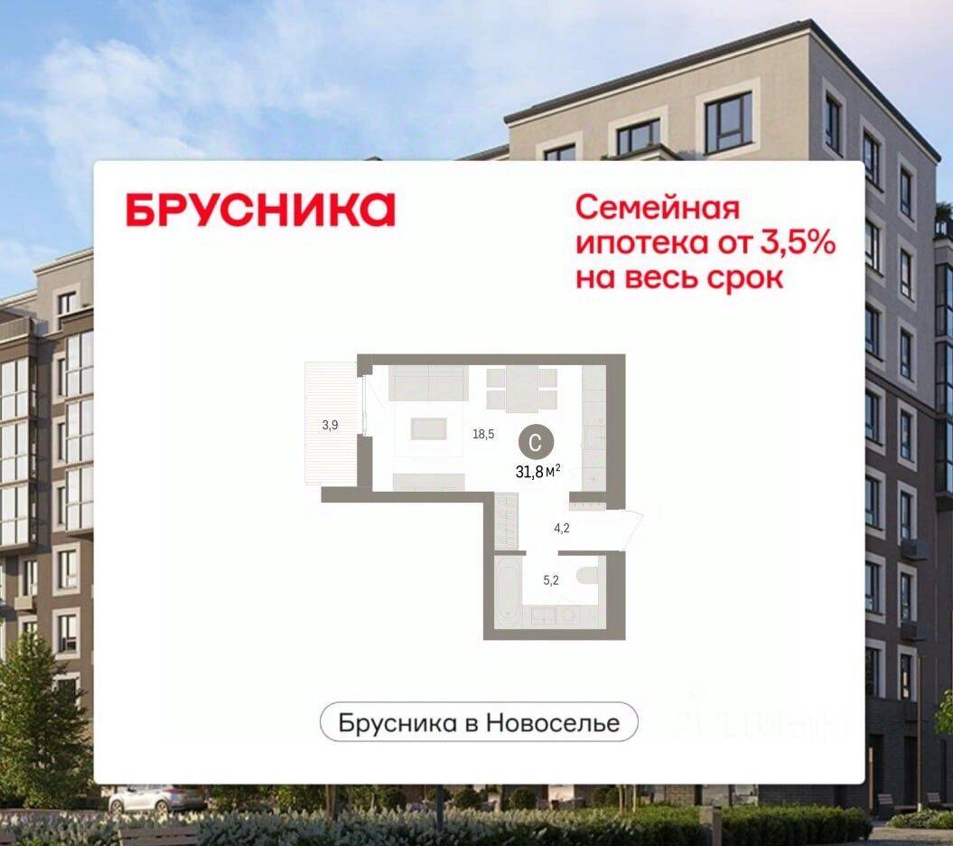 Квартира-студия, 31,8 м², в ЖК «Брусника в Новоселье»