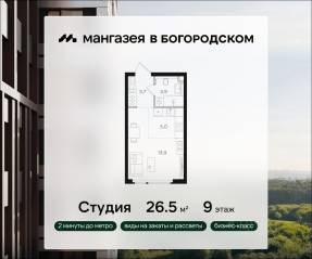 ЖК «Мангазея в Богородском», планировка студии, 26.50 м²