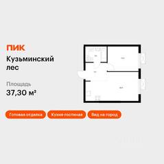 ЖК «Кузьминский лес», планировка 1-комнатной квартиры, 37.30 м²