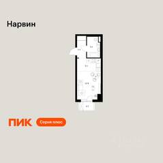 ЖК «Нарвин», планировка студии, 24.40 м²