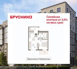ЖК «Брусника в Новоселье», планировка 1-комнатной квартиры, 46.85 м²