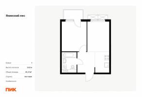 ЖК «Янинский лес», планировка 1-комнатной квартиры, 35.21 м²