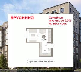 ЖК «Брусника в Новоселье», планировка студии, 28.18 м²