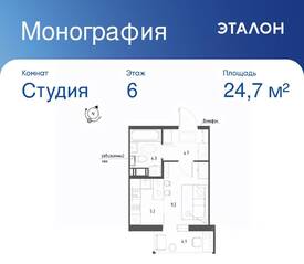 ЖК «Монография», планировка студии, 24.70 м²