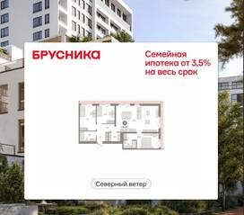 ЖК Квартал «Северный ветер», планировка 3-комнатной квартиры, 116.34 м²