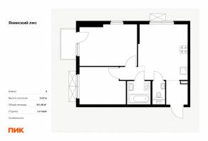 ЖК «Янинский лес», планировка 2-комнатной квартиры, 49.48 м²